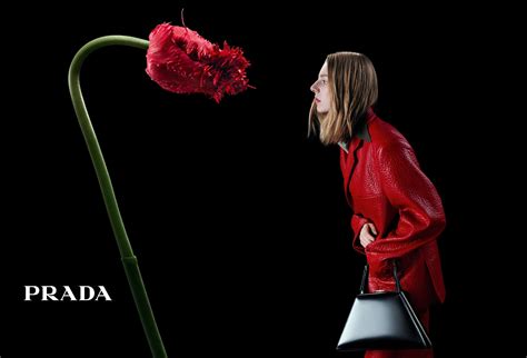 prada campaign video|prada loyalty program.